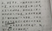 三年级作文我做了一项小实验