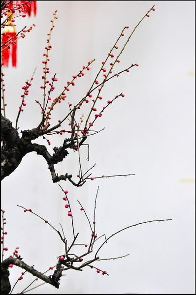 雨中情绪