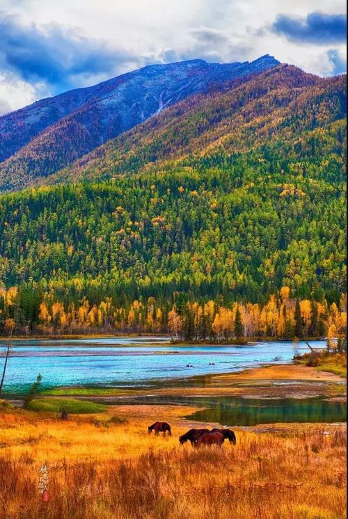 走在美丽的祖国