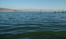 享受那一片幽寂