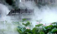 一丝清香沁心田