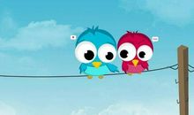 一只常来我家的小鸟