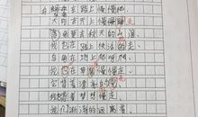 我的动物朋友作文四年级