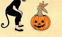 我发现理想是重要的