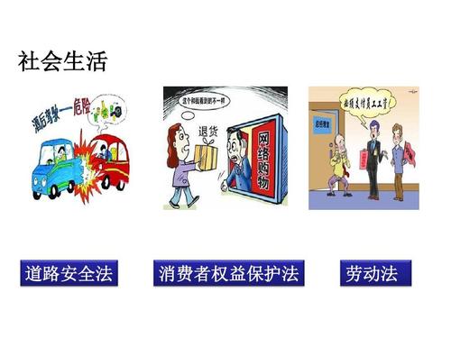 生命和法规