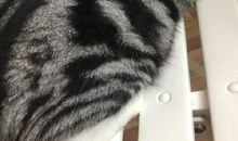 仰望迷人的星月