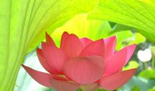 听听那生命的声音