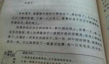 秋天的树叶作文三年级