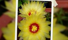 洒下汗水你就会收获成功