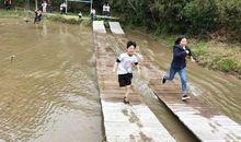 播种友善的种子