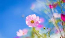 春天里没有遗憾