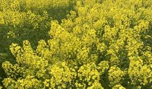 感受身边的温暖