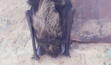 布满荆棘的向阳路