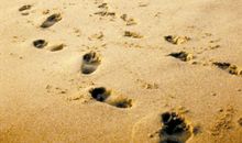 面对父亲越发消瘦的背影，我流泪了