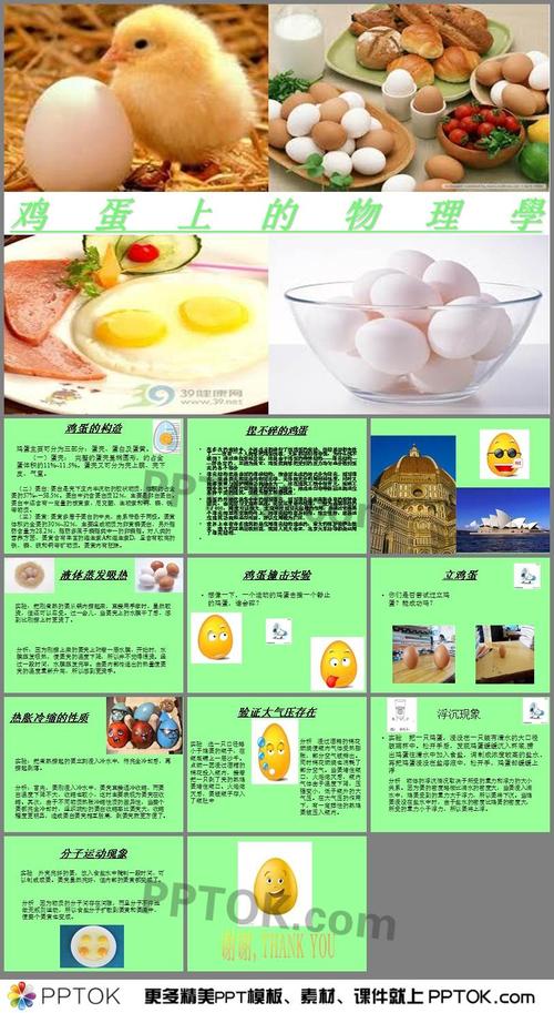 鸡蛋的启示