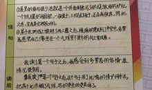 记一次难忘的阅读