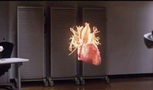 我听得见你心脏的跳动