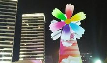 回忆·感悟·珍惜