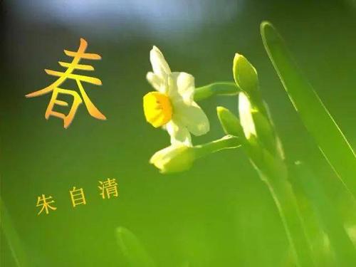 春脚步