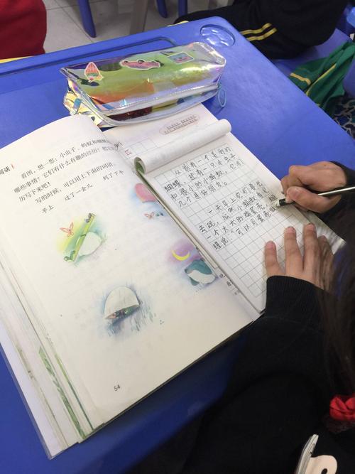查看数百块蛋壳的地图