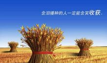 为别人也是为自己