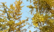 人生处处皆风景