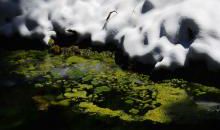 成长需要那一缕阳光