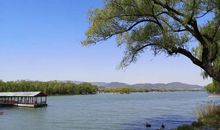 特殊时期网课有感