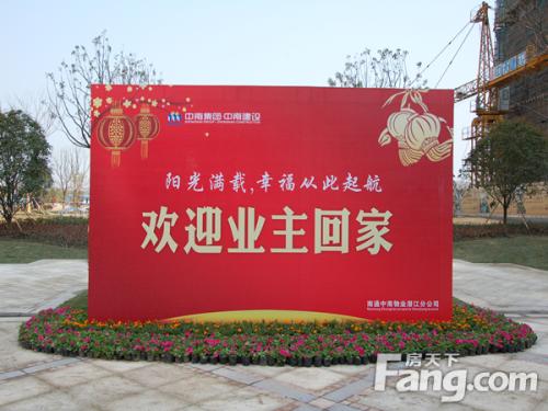 我会回家在阳光下。