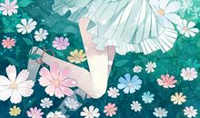 长翅膀的小精灵