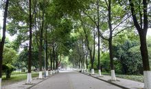 校园里最安静的地方