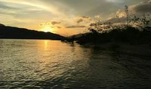 一抹阳光下的遐思