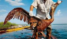 听听那拼搏的声音