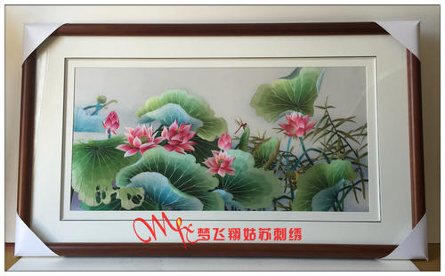 梦想飞行
