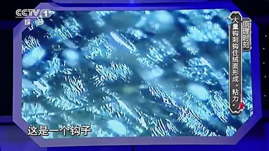 梦想