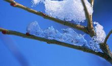 听听冰雪融化的声音