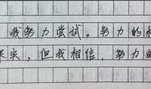 不止一次我努力尝试作文500字