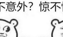 一个意外的惊喜