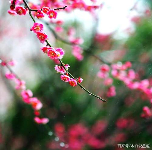 我的思绪在流行病中