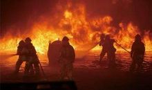 冷风中的那抹橙色