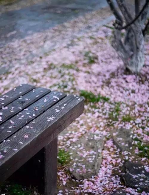 落花