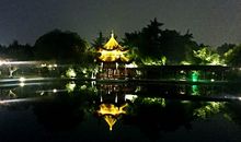 我爱故乡的橘子洲