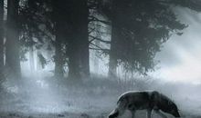 走出困境便是成功