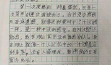 我不再胆怯作文