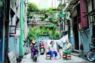 爱在老粉丝