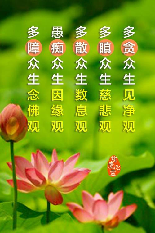 你为什么贪婪？