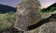 闪烁星光下的那一抹温情