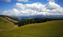 走别人没走过的路