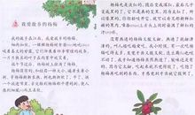 我爱故乡的一切