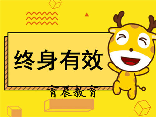 我为规则感到自豪。
